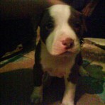 BERTHA LOU